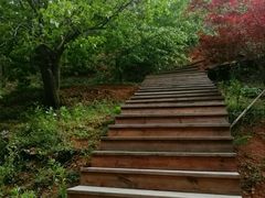 -里口山风景名胜区