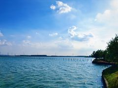 -漕湖湿地公园
