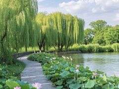 -长沙简牍博物馆