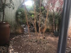 -柴米油盐(土菜院子店)