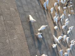 -在海一方公园