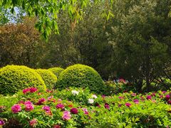 -莲花池公园