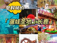 -长鹿旅游休博园