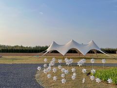 -汉长安城未央宫国家考古遗址公园