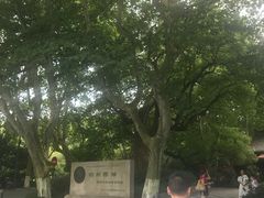 -杭州黄龙洞