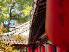 -上海醉白池公园