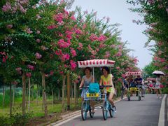 -武汉紫薇都市田园