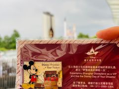 -上海迪士尼度假区