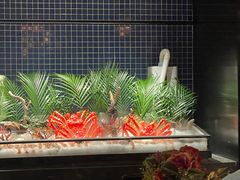 -Mr.Fish鱼鲜生海鲜放题(高德置地冬广场店)