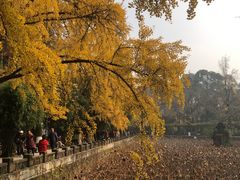 -四川大学(华西校区)