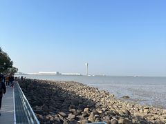 -上海吴淞炮台湾国家湿地公园