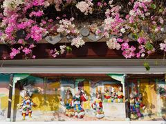 -深圳国际园林花卉博览园