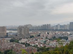 -福道