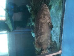 -北国之春国宴(乌兰察布店)