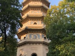 -灵谷景区