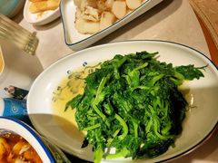 豌豆尖-金悦印象小馆(三里河店)