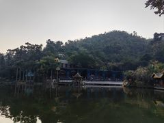 -西双版纳原始森林公园