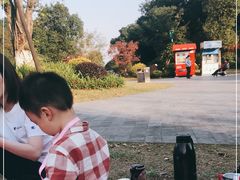 -铁山坪森林公园