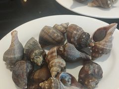 -圣丰索菲特·2 On 988 Café 自助餐厅
