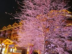 -长白山万达锦华套房酒店