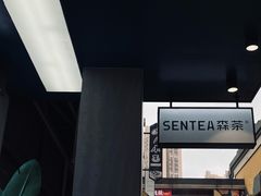 -森茶(湛江万达店)