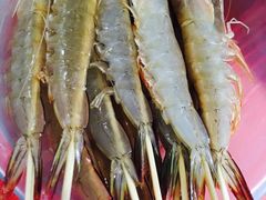 -蚝乡农庄(铁涌赤岸店)