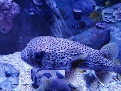 -成都浩海立方海洋公园