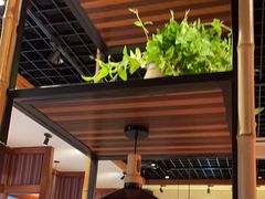 -鑫花溪牛肉米粉(东环大润发店)