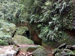 -赤水丹霞旅游区·佛光岩