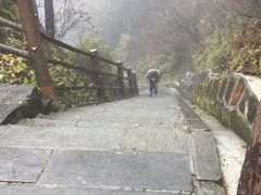 -峨眉山风景名胜区
