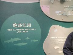 -中国湿地博物馆