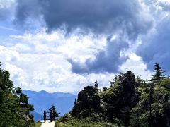 -牛背梁国家森林公园