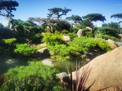 -罗红摄影艺术馆