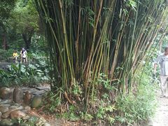 -成都市活水公园