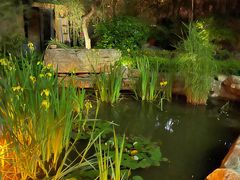 -聚缘堂·海鲜私房菜(松岭路店)