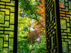 -上海醉白池公园