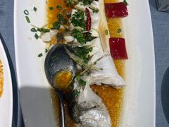 -兴隆·小隆台·温岭菜