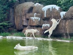 -齐齐哈尔龙沙动植物园