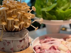-烹然四季椰子鸡火锅(姚家园万象汇店)