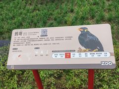 -武汉动物园