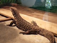 -石家庄市动物园