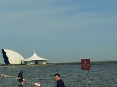 -碧海金沙