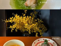 -觀芷隐轩