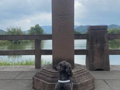 -鸣鹤古镇