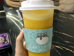 香橙柠檬-野萃山·潮汕厚果汁(十亩地店)