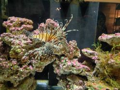 -Zoolung Zoolung动物主题公园(海信广场店)