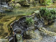 -广州市白云山风景名胜区
