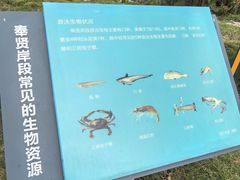 -碧海金沙