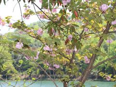 -石燕湖生态旅游景区