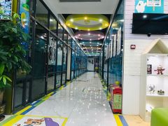 -星皓艺术文化培训中心